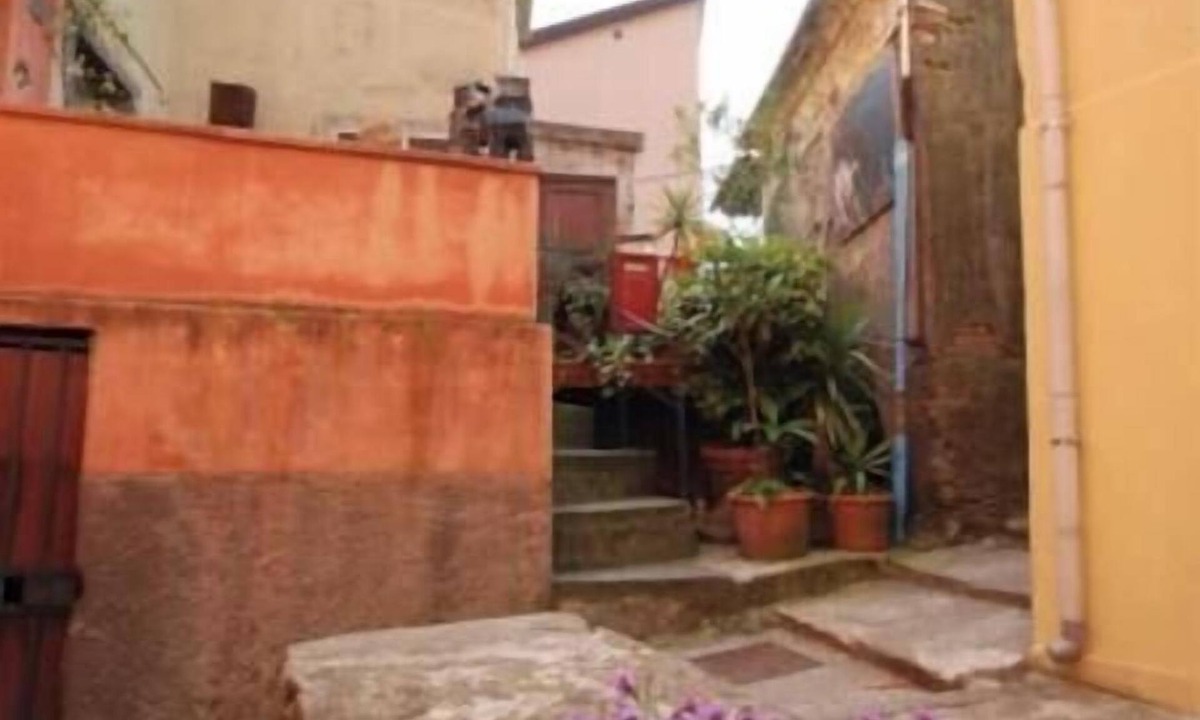 Volastra Apartment | At Olga's House - Authentic Refuge in the Hills of the Cinque Terre