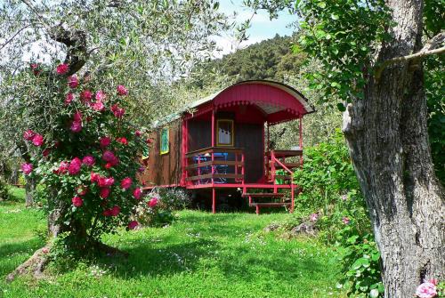 Stiava House | Azienda agricola e Caravan della Mezzaluna