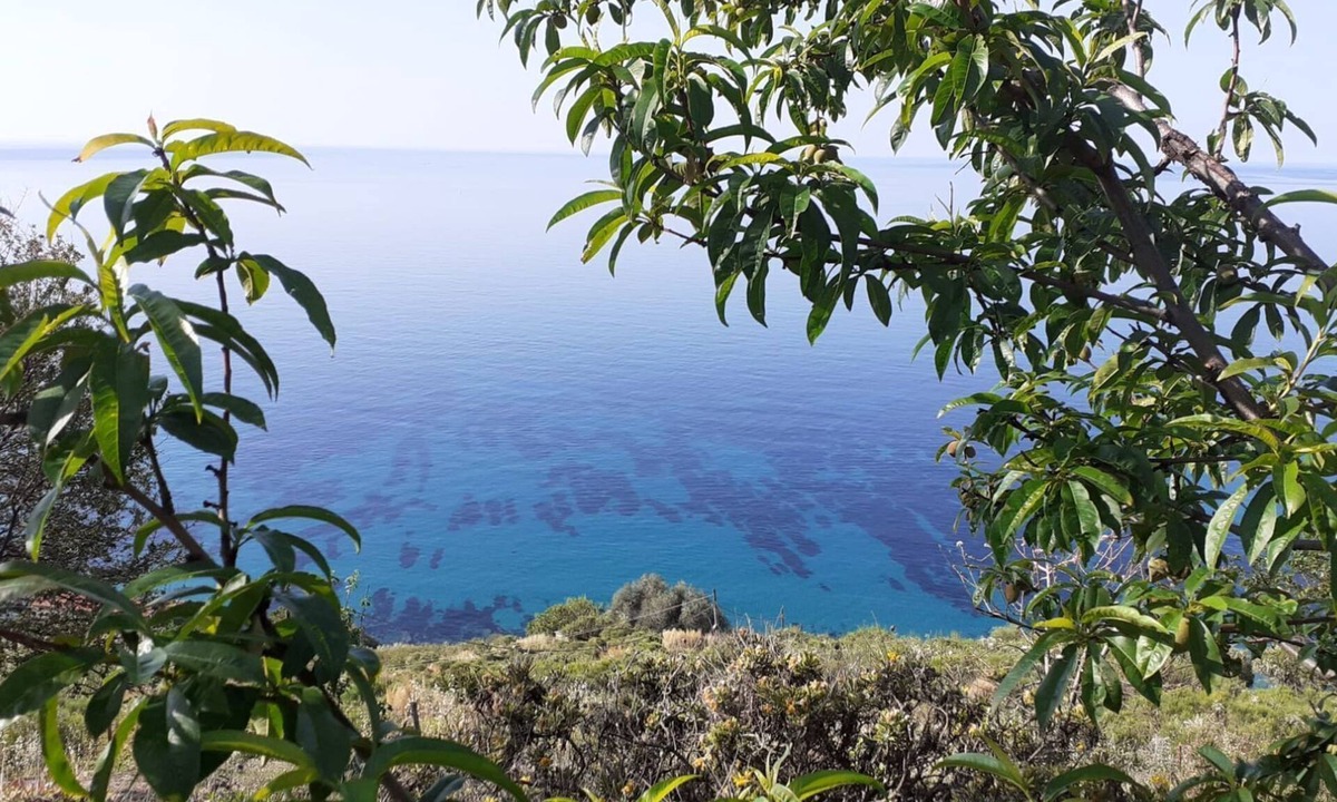 Latte House | Blue Zagara - Coccon on the Italo-French Riviera