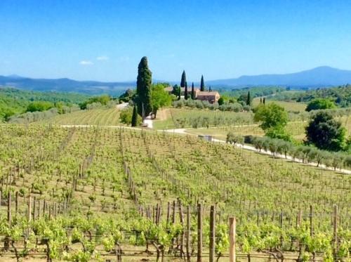 Castelnuovo Berardenga House | Casa Rossella, incantevole casa con piscina in Tenuta storica del Chianti
