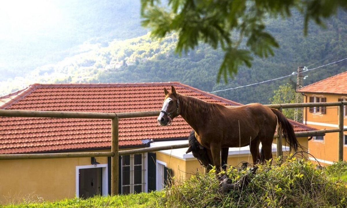 Gazzo-Vigna Apartment | Casa Silvano - Valley View Retreat | Ap48