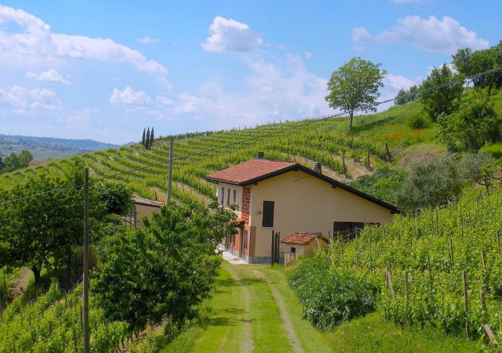 Nizza Monferrato House | Cascina tra i vigneti a Nizza Monferrato