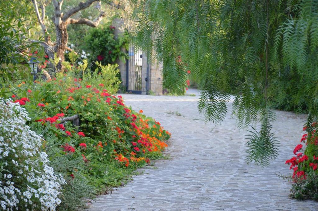 San Mauro Cilento Bed & Breakfast | Dormire al Casale
