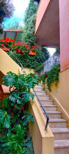 Zona LIII Tomba di Nerone Apartment | Elisa e Carla House Beautiful apartments on the Cassia