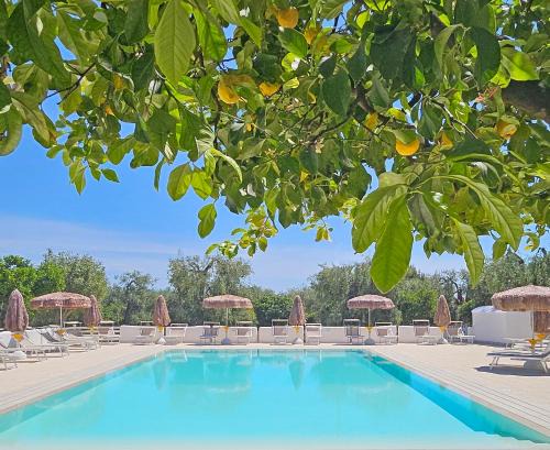 Mattinata Apartment | Hotel Residence Torre Del Porto