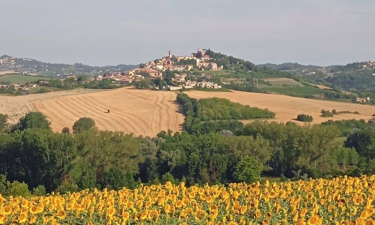 Montiglio Monferrato Bed & Breakfast | Il Casale: A Charming Country House in the Monferrato Hills