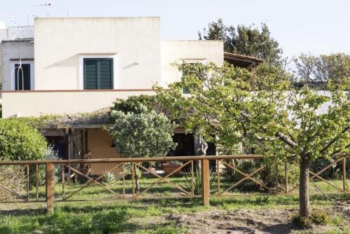 Ventotene House | La Cantina