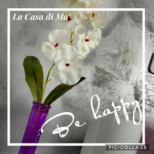 Piancastagnaio Bed & Breakfast | La Casa di Mà