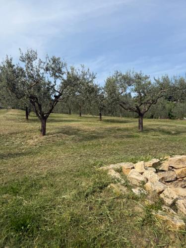 Torgiano House | La Casa di Mario