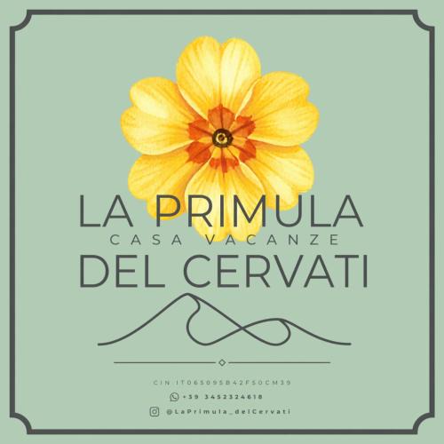 Piaggine Bed & Breakfast | La Primula del Cervati - CASA VACANZE