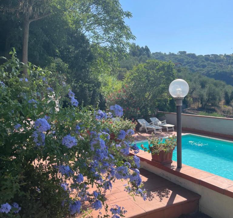Poggio alla Malva Apartment | Le Casacce Case per Vacanze