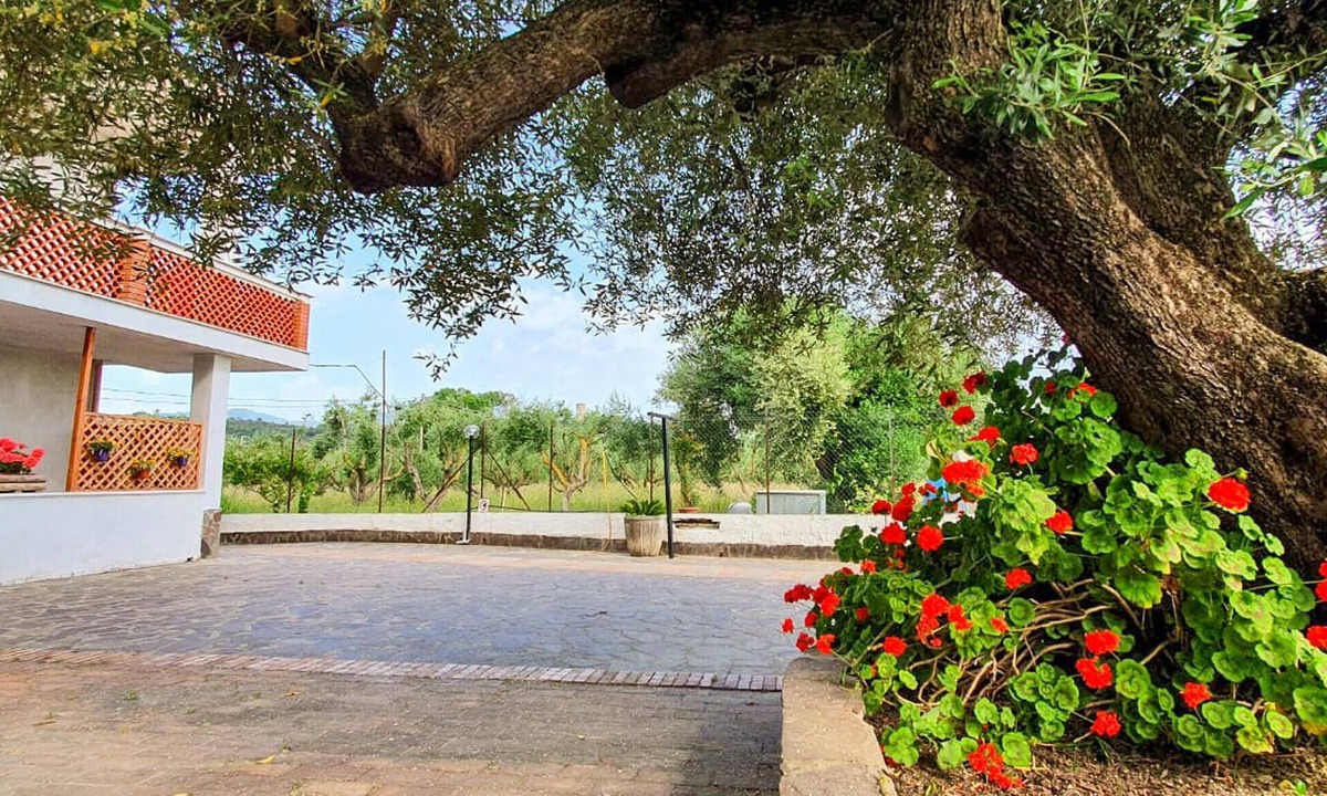 Casal Velino Apartment | Lovely apartment in Casal Velino with WiFi