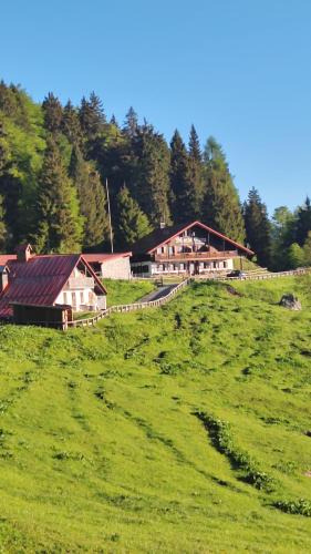Ampezzo Bed & Breakfast | Rifugio Escursionistico Monte Pura