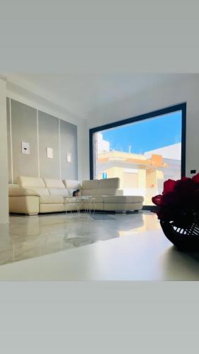 Nardo House | Tanza in Vetrina 2024