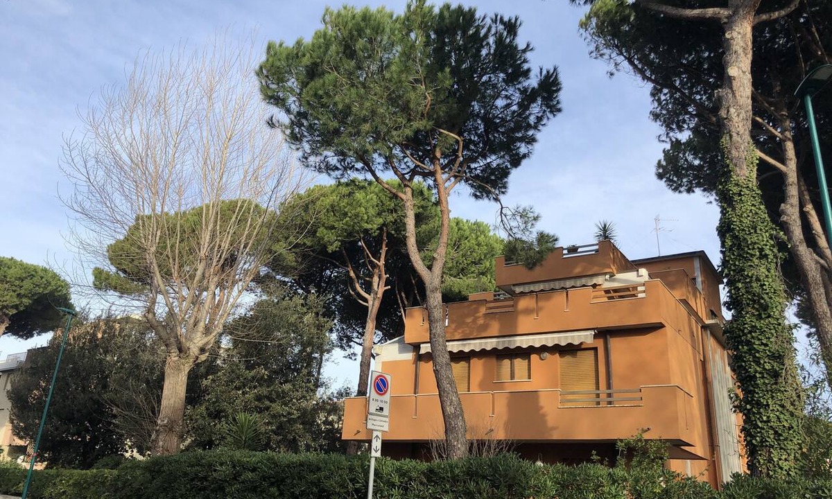 Tirrenia Apartment | Tirrenia apartment 200mt from the sea