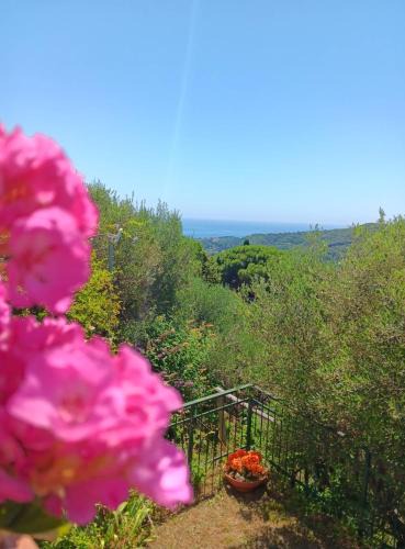 Celle Ligure Apartment | TraMonti e Mare, vista mare giardino, la casa che in ogni stagione si trasforma!