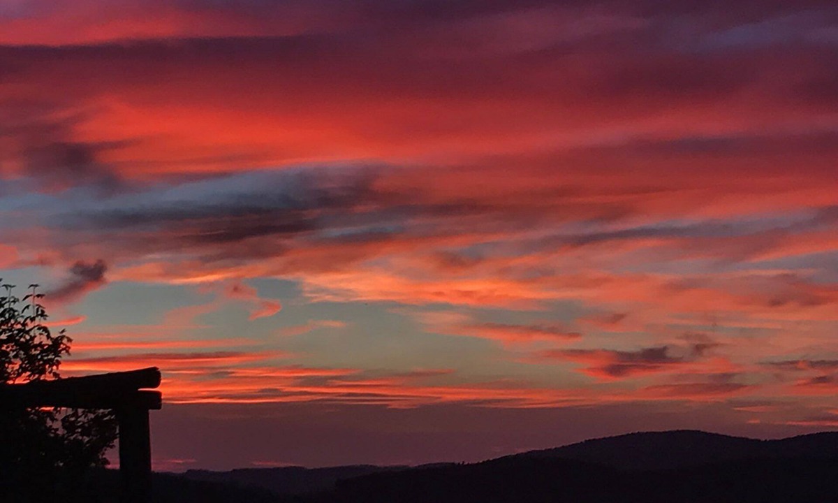 Scandicci Other | UNDER THE TUSCAN SUN
