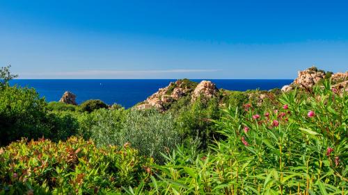 Costa Paradiso Villa | Villa Averla-Costa Paradiso, con giardino vista graniti e mare