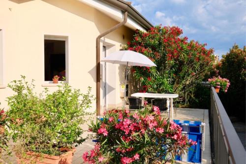 Lido di Jesolo Apartment | Villa Daniela con piscina - Carraro Immobiliare - Family Apartments