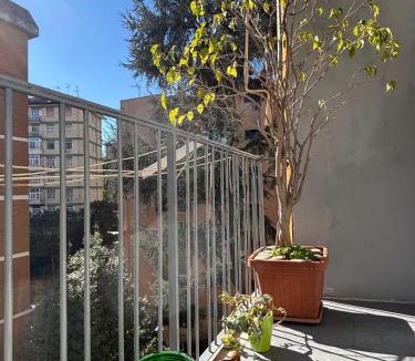 Arenella House | AcasaMy