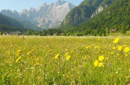 Malborghetto Valbruna Bed & Breakfast | Affittacamere Krajnc