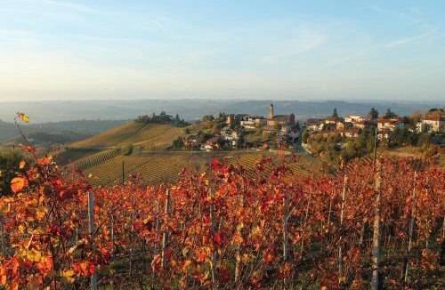 Treiso House | Agriturismo Il Bricco