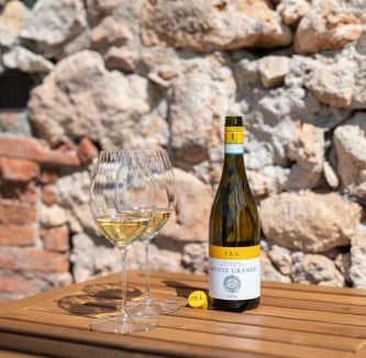 Soave House | Agriturismo Monte Bisson - Piscina Privata