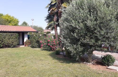 Gradisca d'Isonzo Apartment | Alla Magnolia