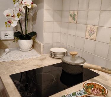Certaldo Alto Apartment | Amorosa Dimora