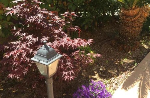 Imperia House | Appartamento a schiera con giardino