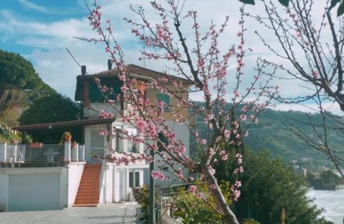 Latte Apartment | Appartamento un mare di fiori