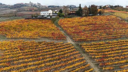 Diano d'Alba Bed & Breakfast | B&B CaGià - Bike Food and Relax