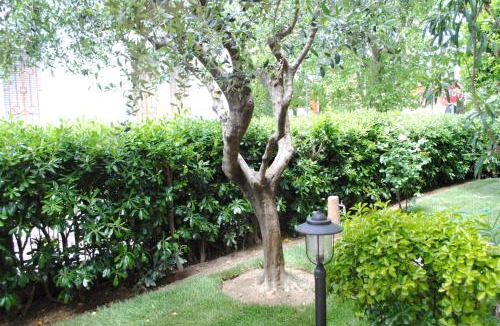 Cattolica Bed & Breakfast | B&B La Gatta Blu