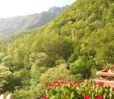 Magliocca Bed & Breakfast | B&B Rossociliegia