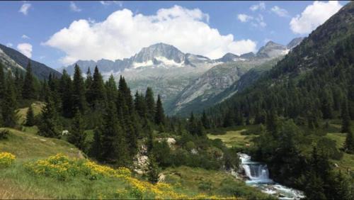 Valdaone Bed & Breakfast | B&B Villa Plaz