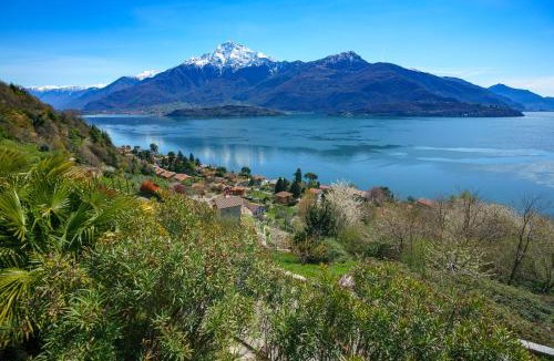 San Carlo House | "Bice&Lucia"