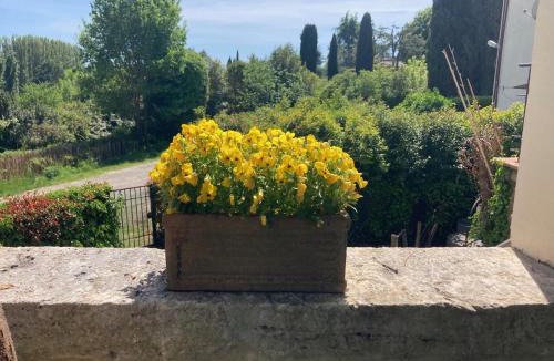 Sovicille Apartment | Carpineto1: Appartamento con giardino vicino Siena
