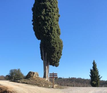 Castelnuovo Berardenga House | Casa Rossella, incantevole casa con piscina in Tenuta storica del Chianti