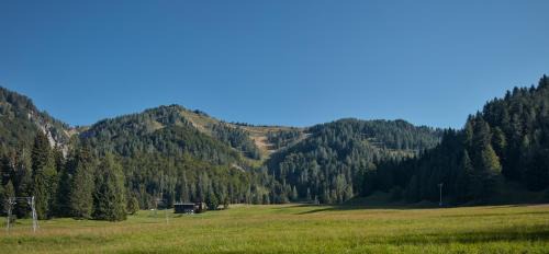 Sauris di Sotto Apartment | Casa Sauris