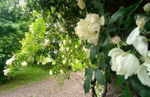 Compiano Bed & Breakfast | Casale Sambuceto