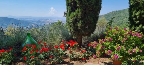 Pieve di Chio Villa | COPPA DI SOPRA - Beautiful villa with swimming pool and superb view