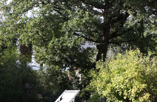 Giovi-Ponte Alla Chiassa House | Cozy apartment in country home a few km from Arezzo