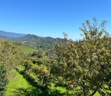 Arfanta Bed & Breakfast | da Tony home B&B