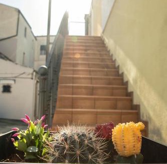 Lucera Apartment | Dimora cAmelia