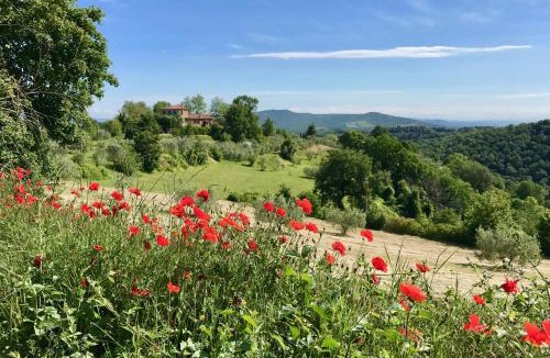 Citta della Pieve House | Grove Cottage: Immersed in nature & close to town