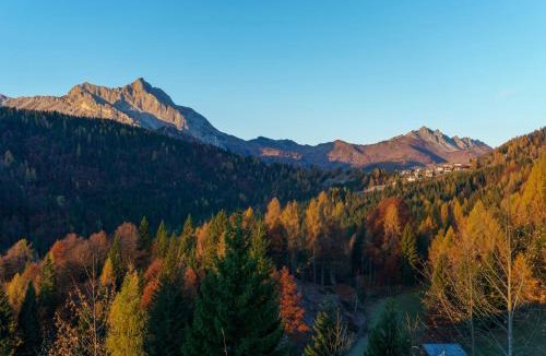 Sauris di Sopra Apartment | Historic Dwelling With Terrace In Sauris