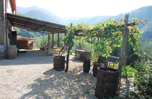 Bivio Pozzo House | Il Frantoio, Loft rurale, con bbq e giardino in Pontifogno