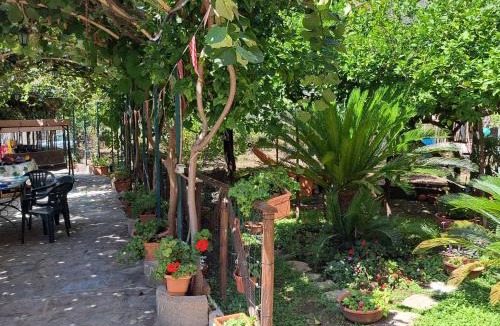 Piazza-Tralia-Pendolo Apartment | Il Gelso