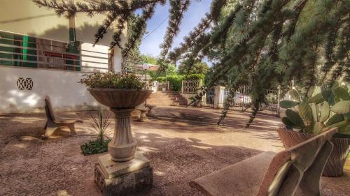 Lamie di Olimpia Villa | Il Posticello d'Itria - Villa in Collina a Laureto