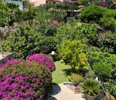 Ischia Porto Villa | Il sogno di Chiara, Ischia
